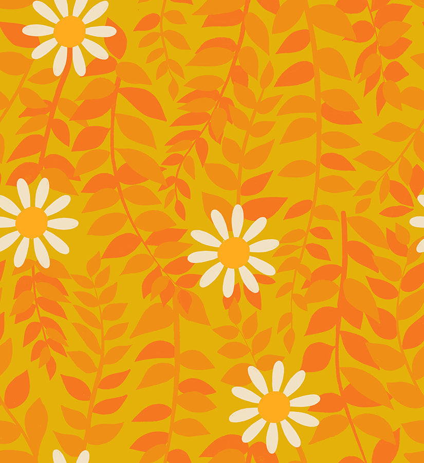 Daisies Goldenrod- Flowerland